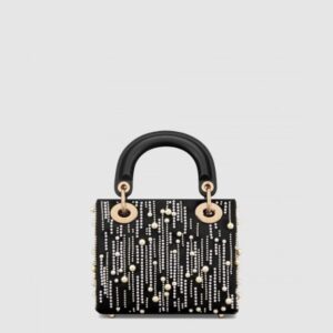 디올 레이디백 미니 M0505