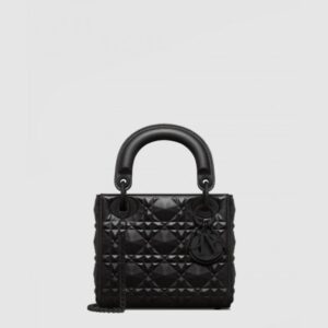 디올 레이디백 다이아몬드 까나쥬 미니 M0505