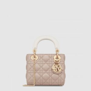 디올 레이디 미니백 M0505