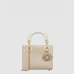 디올 레이디백 미니 M0505