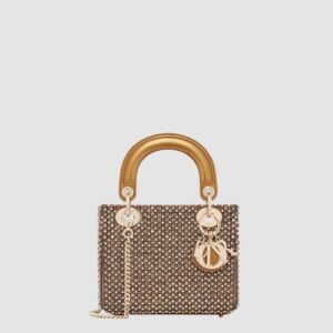 디올 레이디백 미니 M0505