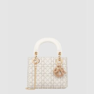 디올 레이디백 미니 M0505