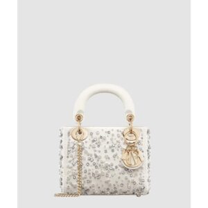 디올 레이디백 미니 M0505