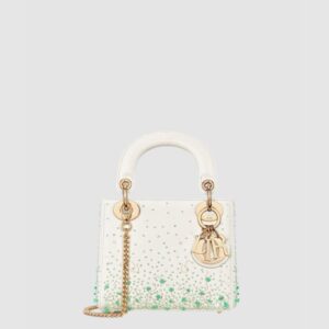 디올 레이디백 미니 M0505