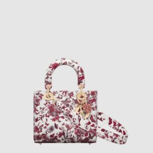 디올 레이디백 ABC M0538