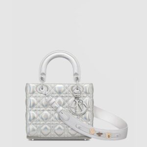 디올 레이디백 ABC M0538