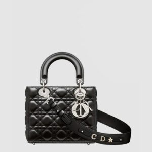 디올 레이디백 ABC M0538