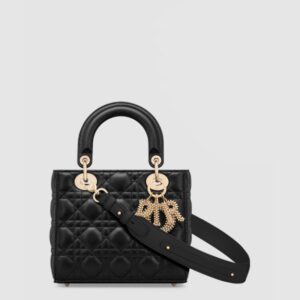 디올 레이디백 ABC M0538