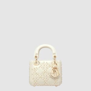 디올 레이디백 마이크로 S0856