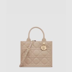 디올 Dior Book Tote 스몰 백 M1325OWHP